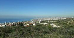 Land for Sale Fidar ( Halat ) Jbeil Area 980Sqm