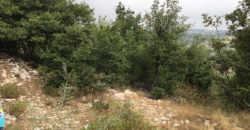 Land for Sale Mechmech Jbeil Area 1890Sqm