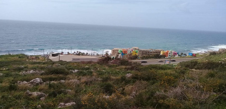 Land for Sale Rayhan Jbeil Area 4025Sqm