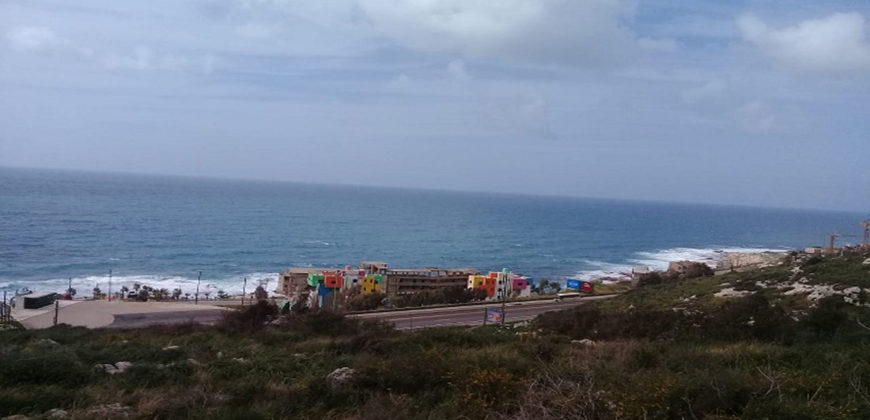 Land for Sale Rayhan Jbeil Area 4025Sqm