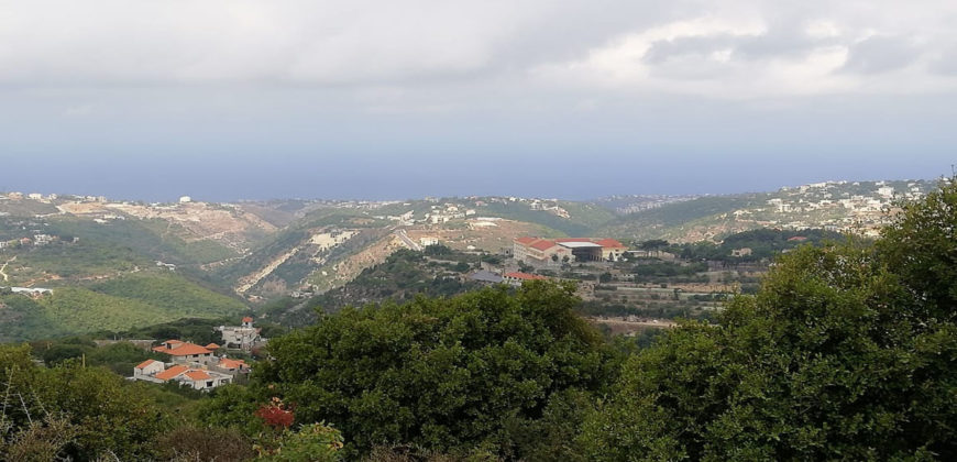 Land for Sale Aabeidat Jbeil Area 2200Sqm