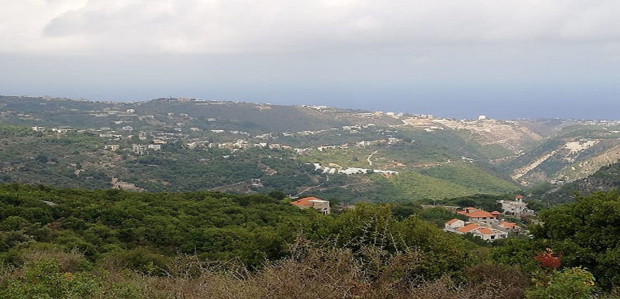 Land for Sale Aabeidat Jbeil Area 2200Sqm