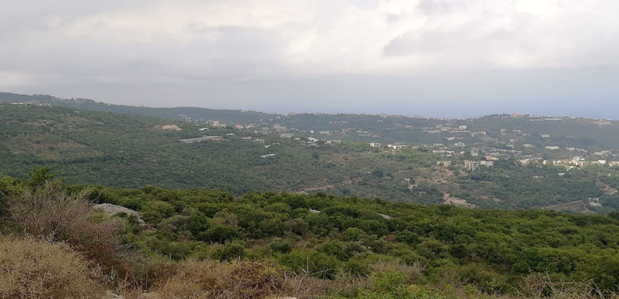 Land for Sale Aabeidat Jbeil Area 2200Sqm