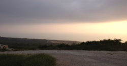 Land for Sale Berbara Jbeil Area 13608Sqm