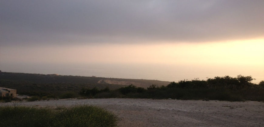 Land for Sale Berbara Jbeil Area 13608Sqm
