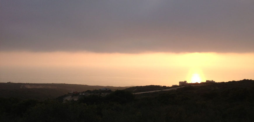 Land for Sale Berbara Jbeil Area 13608Sqm