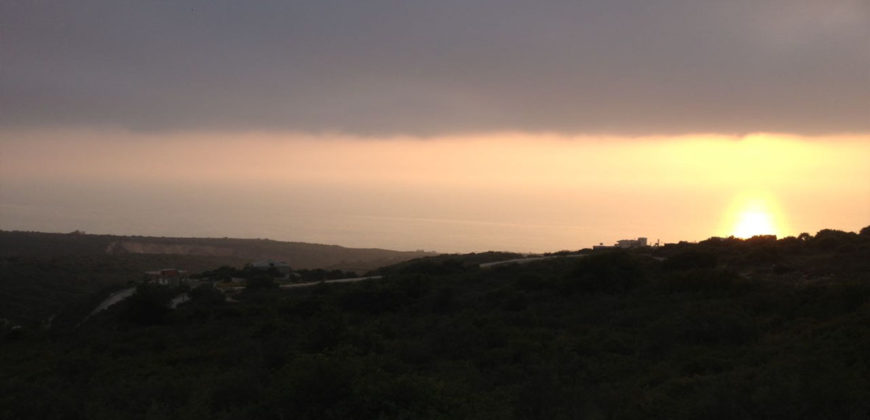 Land for Sale Berbara Jbeil Area 13608Sqm