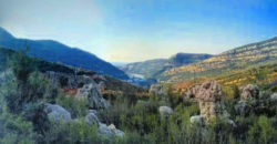 Land for Sale Douma Batroun Area 1245Sqm