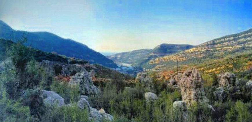 Land for Sale Douma Batroun Area 1245Sqm