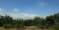 Land for Sale Mechmech Jbeil Area 1957Sqm