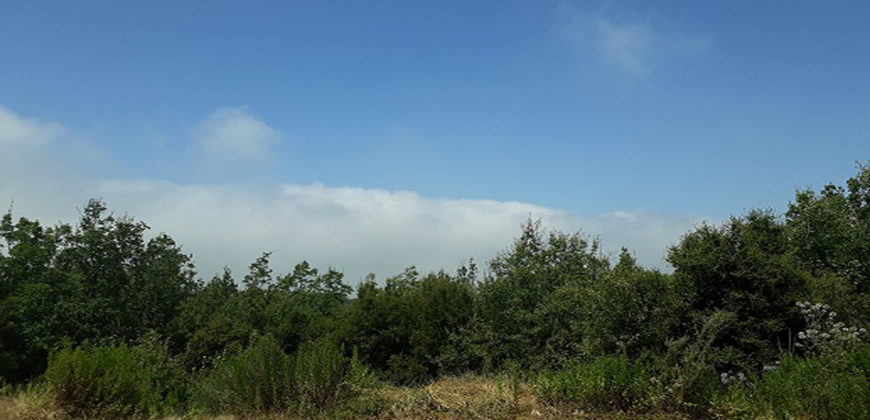 Land for Sale Mechmech Jbeil Area 1655Sqm