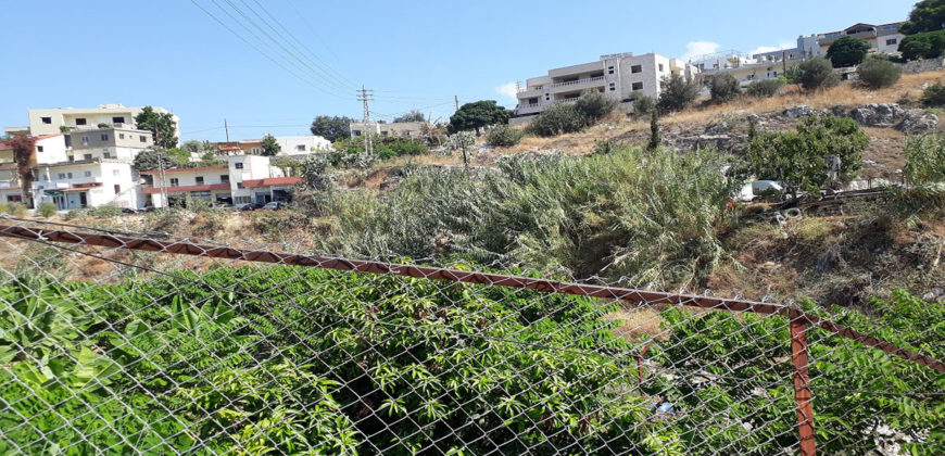 Land for Sale Aamchit Jbeil Area 2430Sqm
