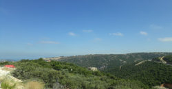 Land for Sale Aabeidat Jbeil Area 2900Sqm