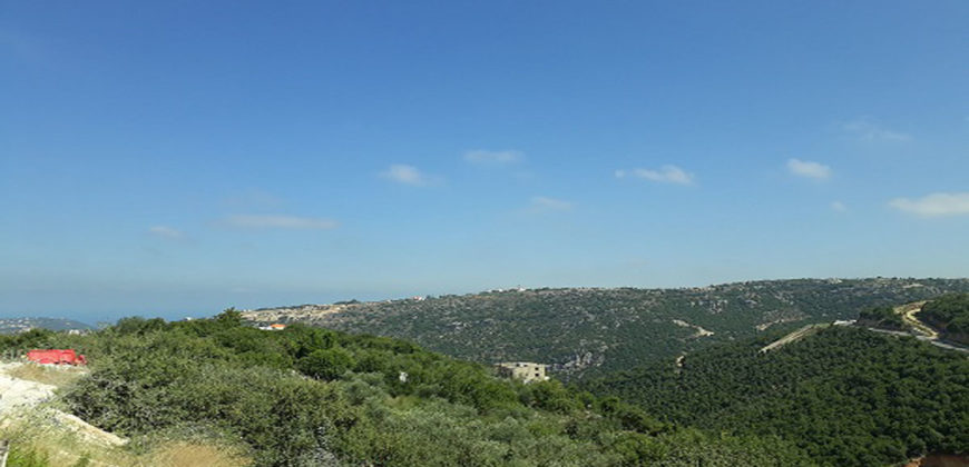 Land for Sale Aabeidat Jbeil Area 2900Sqm