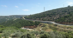 Land for Sale Aabeidat Jbeil Area 2900Sqm