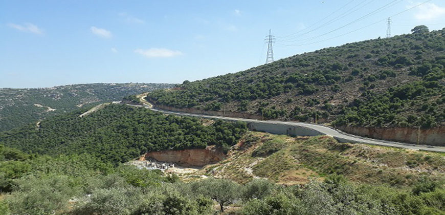 Land for Sale Aabeidat Jbeil Area 2900Sqm