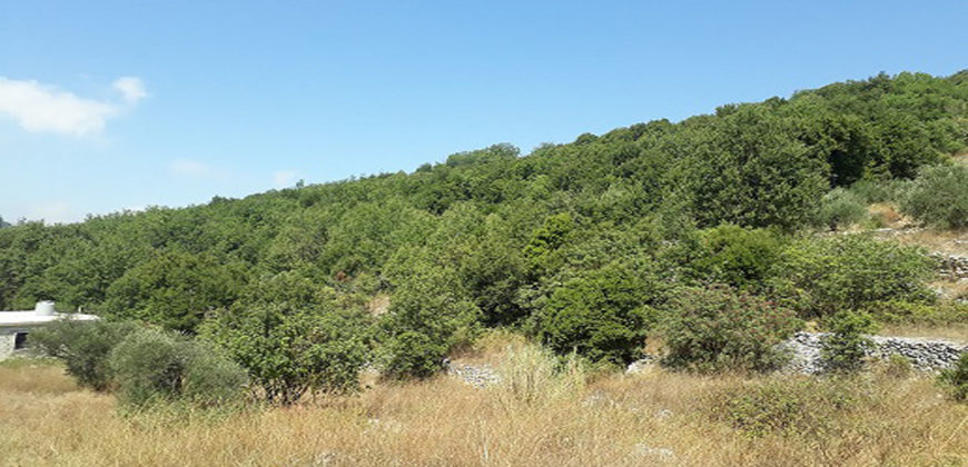 Land for Sale Lehfed Jbeil Area 864Sqm
