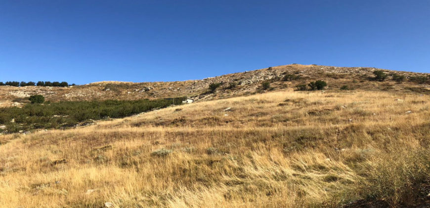 Land for Sale Aaqoura ( Laqlouq ) Jbeil Area 2000Sqm
