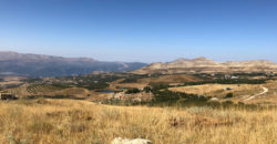 Land for Sale Aaqoura ( Laqlouq ) Jbeil Area 2000Sqm