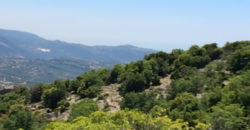 Land for Sale Bejjeh Jbeil Area 6606Sqm