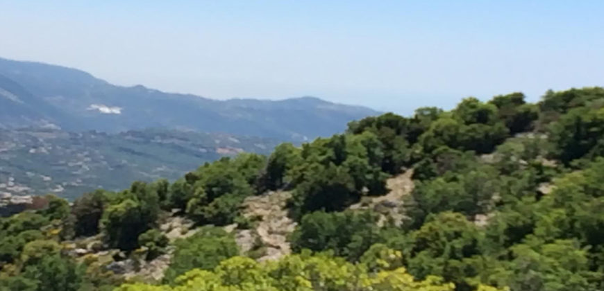 Land for Sale Bejjeh Jbeil Area 6606Sqm