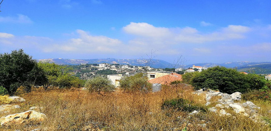 Land for Sale Bejjeh Jbeil Area 2829Sqm