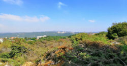 Land for Sale Bejjeh Jbeil Area 2829Sqm