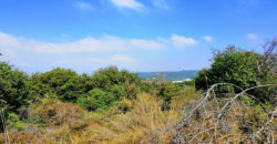 Land for Sale Bejjeh Jbeil Area 2829Sqm