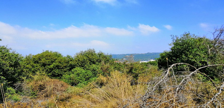 Land for Sale Bejjeh Jbeil Area 2829Sqm