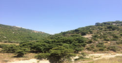 Land for Sale Ain Kfaa Jbeil Area 915Sqm