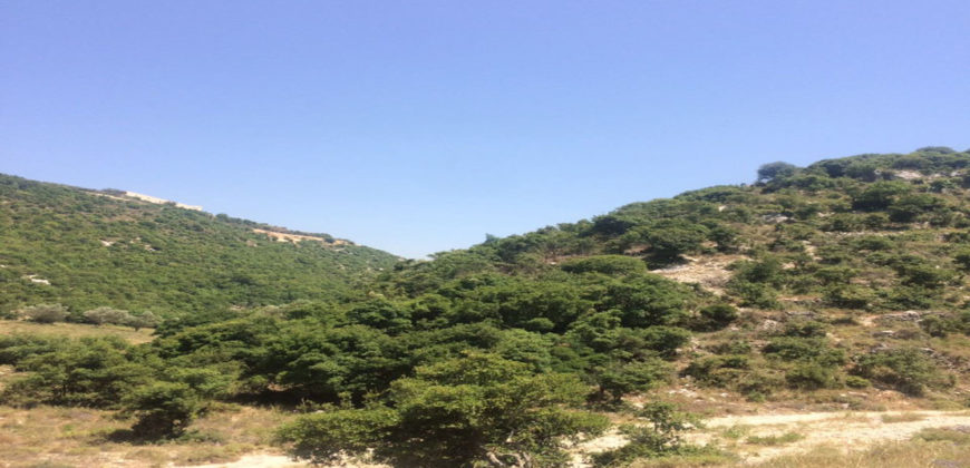 Land for Sale Ain Kfaa Jbeil Area 915Sqm