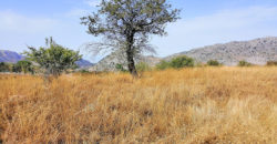 Land for Sale Ehmej ( Laqlouq ) Jbeil Area 4055Sqm