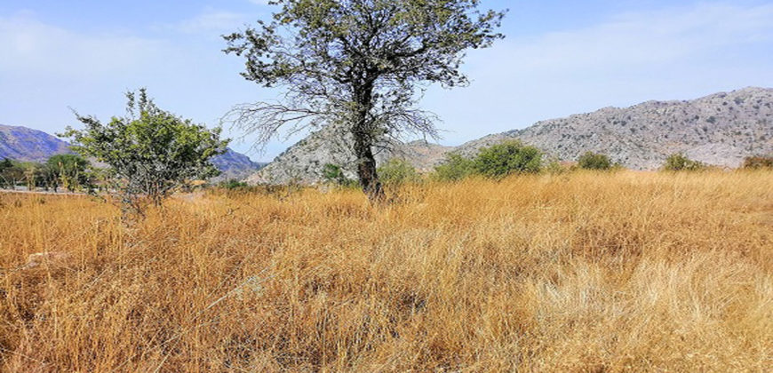 Land for Sale Ehmej ( Laqlouq ) Jbeil Area 4055Sqm