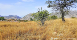 Land for Sale Ehmej ( Laqlouq ) Jbeil Area 4055Sqm