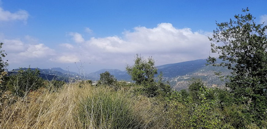 Land for Sale Ain El Delbeh Jbeil Area 1200Sqm
