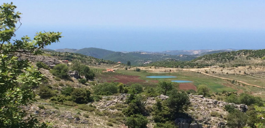 Land for Sale Ehmej Jbeil Area 12390Sqm