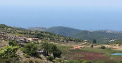 Land for Sale Ehmej Jbeil Area 12390Sqm