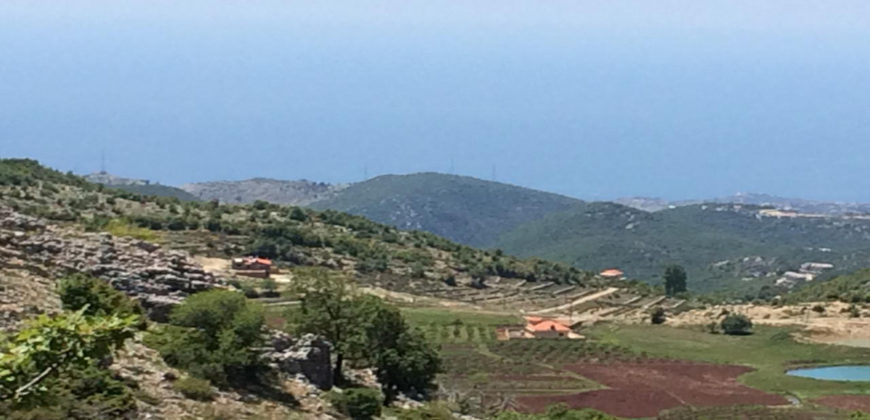 Land for Sale Ehmej Jbeil Area 12390Sqm