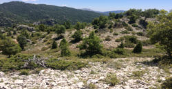 Land for Sale Ehmej Jbeil Area 12390Sqm