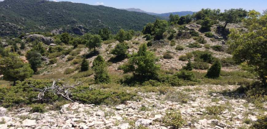 Land for Sale Ehmej Jbeil Area 12390Sqm