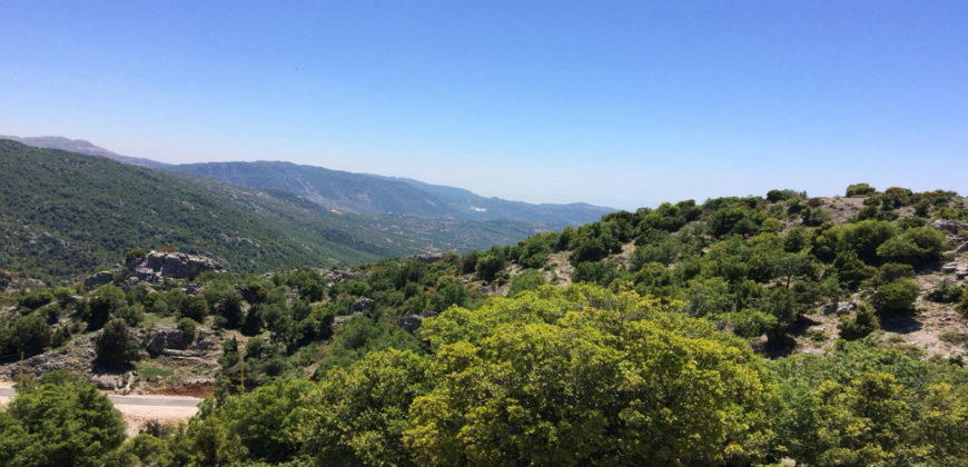 Land for Sale Ehmej Jbeil Area 12390Sqm