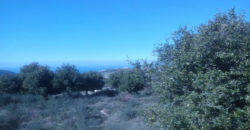 Land for Sale Bejjeh Jbeil Area 17032Sqm