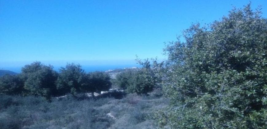 Land for Sale Bejjeh Jbeil Area 17032Sqm