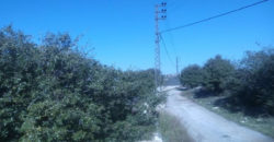 Land for Sale Bejjeh Jbeil Area 17032Sqm