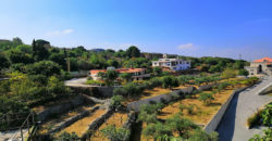 Villa for Sale Bejjeh Jbeil Building Area 900 Sqm Land Area 3162Sqm