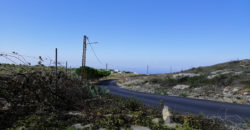 Land for Sale Maad Jbeil Area 2760Sqm