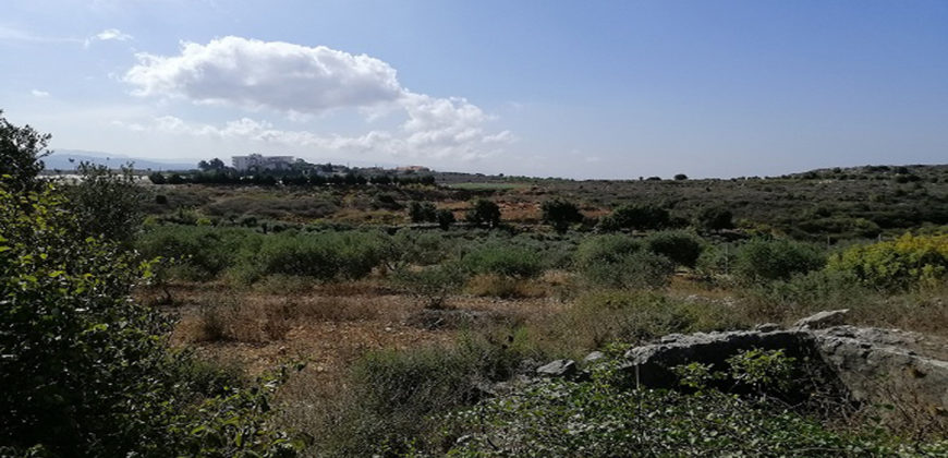 Land for Sale Maad Jbeil Area 2760Sqm