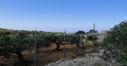 Land for Sale Maad Jbeil Area 2760Sqm