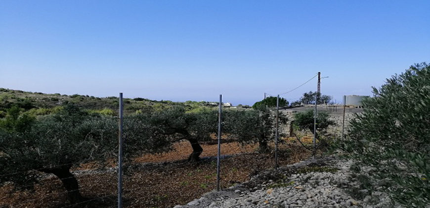 Land for Sale Maad Jbeil Area 2760Sqm