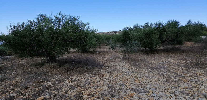 Land for Sale Maad Jbeil Area 2760Sqm